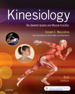 kinesiology skeletal function muscolino agonist fixator synergist antagonist anatomy stabilizer physiology kinesiologie booksca learnmuscles