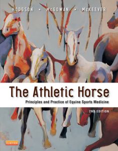 The Athletic Horse