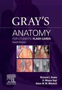 Gray's Anatomy for Students Flash Cards E-Book