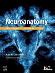 Neuroanatomy: Illustrated Colour Text