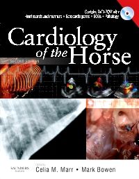 Cardiology of the Horse