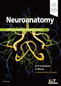 Neuroanatomy