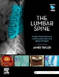 The Lumbar Spine