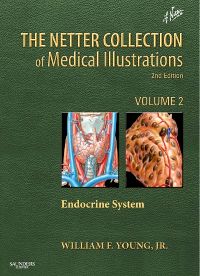 Netter Collection of Medical Illustrations: Endocrine System E-book