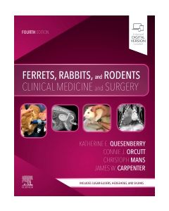 Ferrets, Rabbits, and Rodents