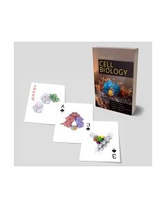 Cell Biology Playing Cards