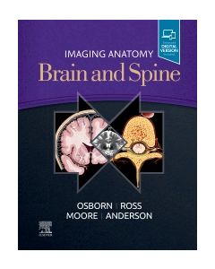 Imaging Anatomy Brain and Spine