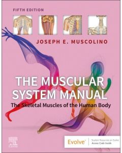 The Muscular System Manual