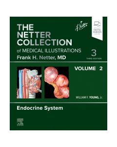 The Netter Collection of Medical Illustrations: Endocrine System, Volume 2